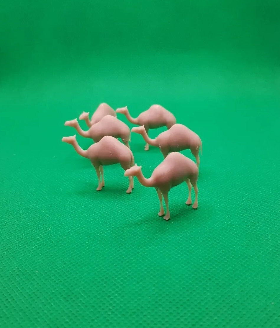 1:72 dromadaire camel kamel