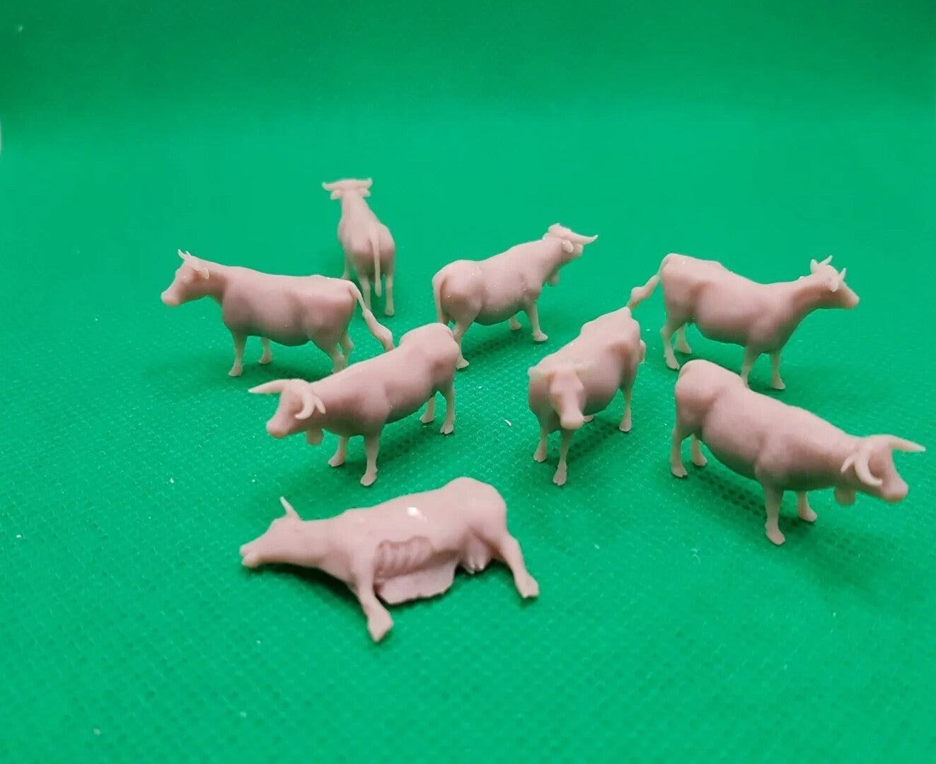 1:72 cow vache kuh