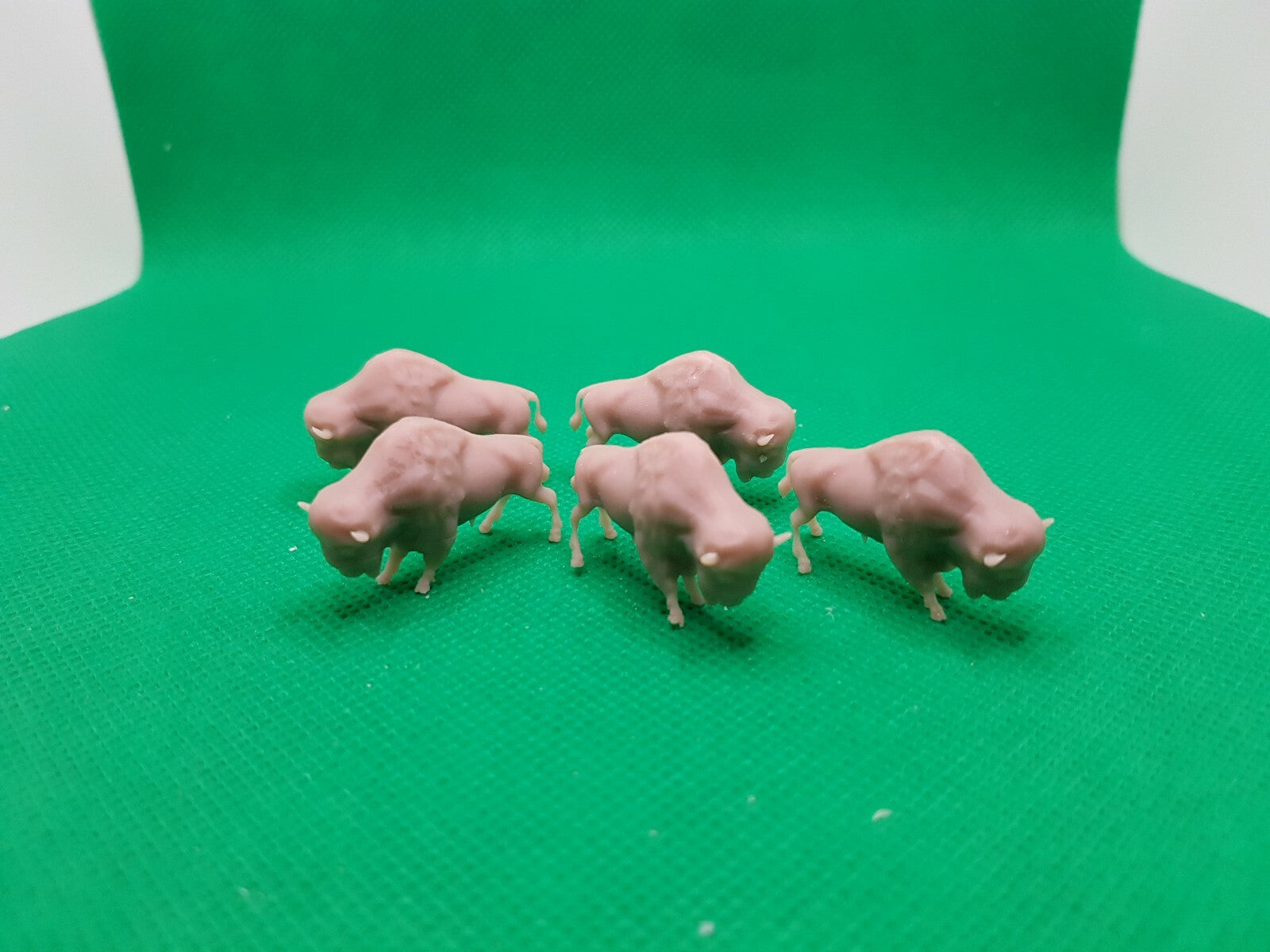 1:72 5 bisons